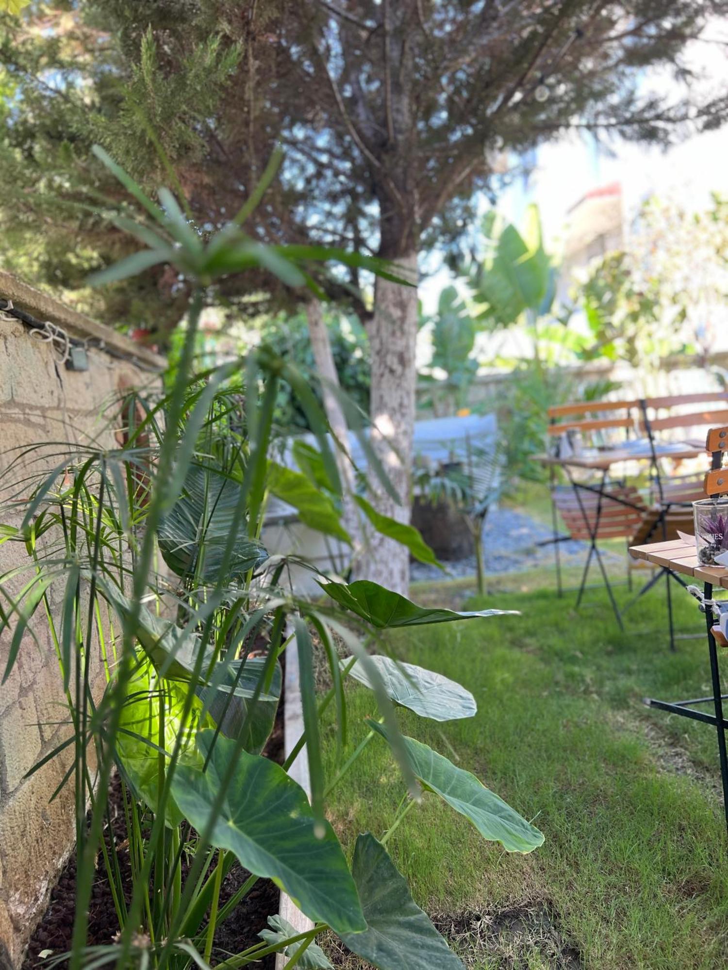 Luna Alaçatı Otel Exterior foto